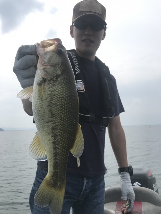 truth  ブログ写真 2019/10/02