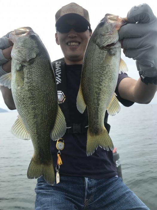 truth  ブログ写真 2019/10/02