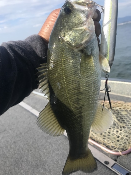 truth  ブログ写真 2019/10/03