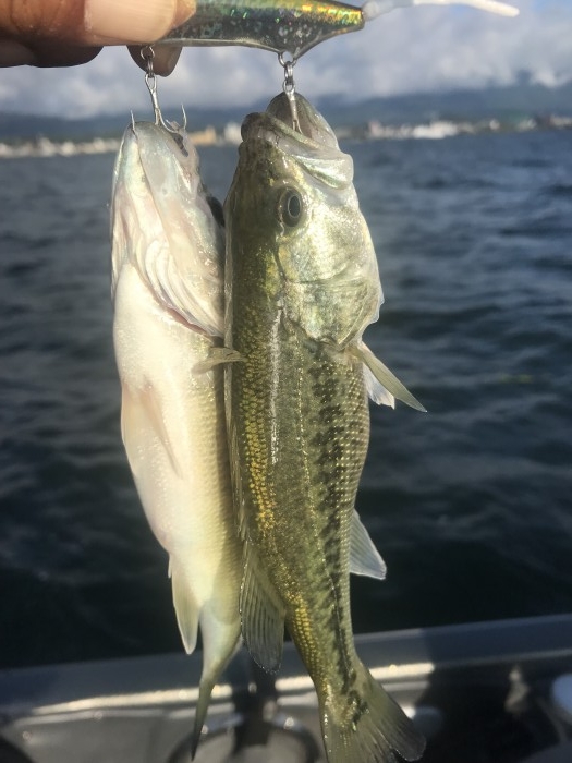 truth  ブログ写真 2019/10/04