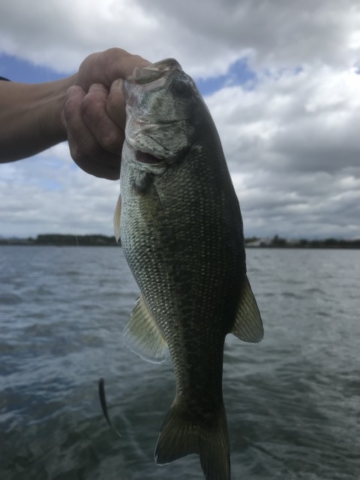 truth  ブログ写真 2019/10/04