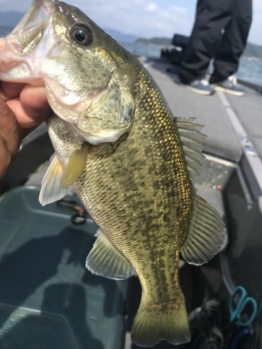 truth  ブログ写真 2019/10/05