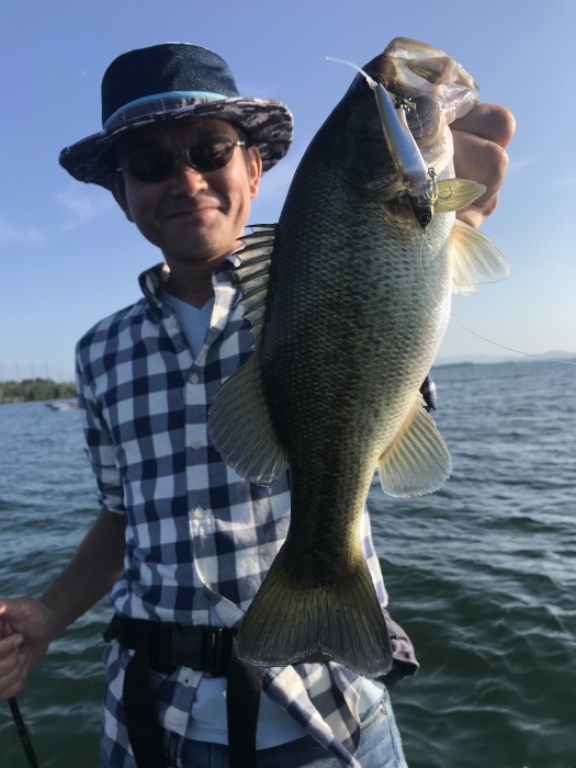 truth  ブログ写真 2019/10/05