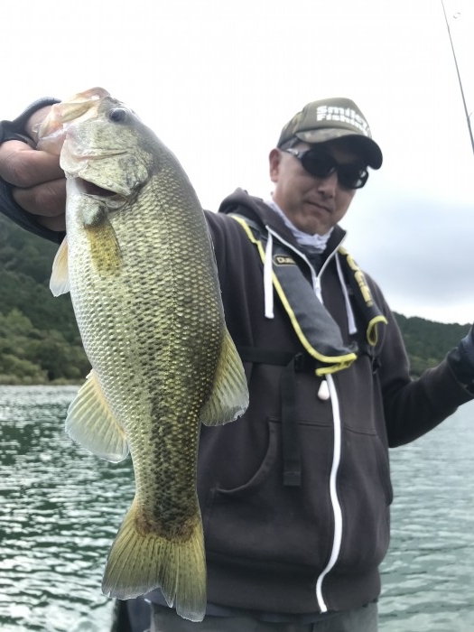 truth  ブログ写真 2019/10/07