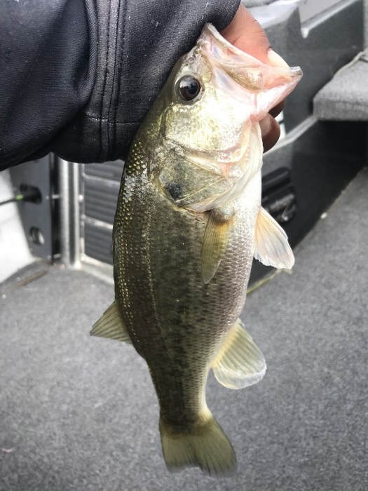 truth  ブログ写真 2019/10/07