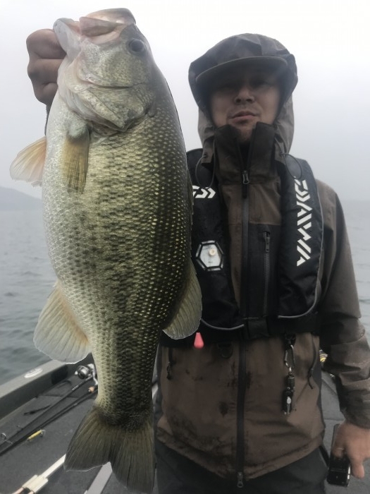 truth  ブログ写真 2019/10/09