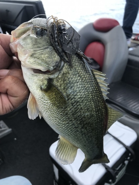 truth  ブログ写真 2019/10/15