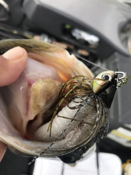 truth  ブログ写真 2019/10/15