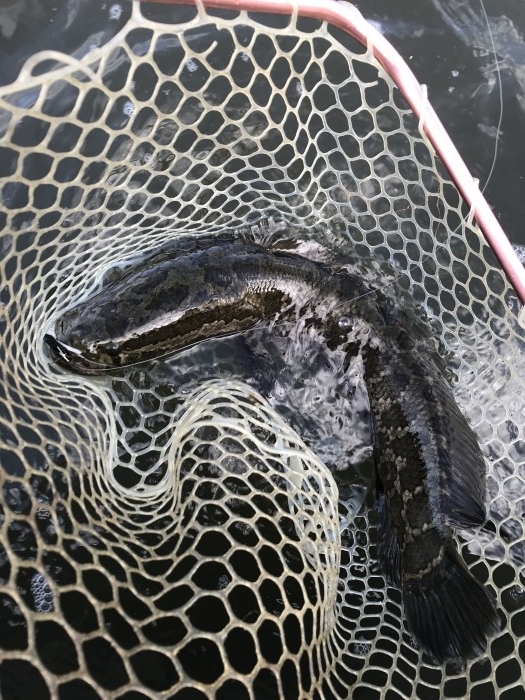 truth  ブログ写真 2019/10/15