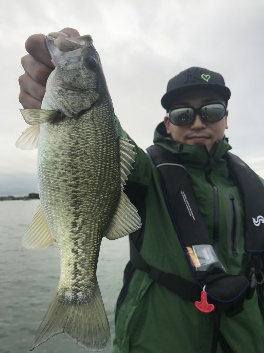 truth  ブログ写真 2019/10/20