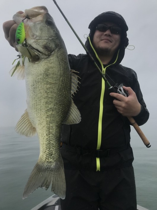 truth  ブログ写真 2019/10/20