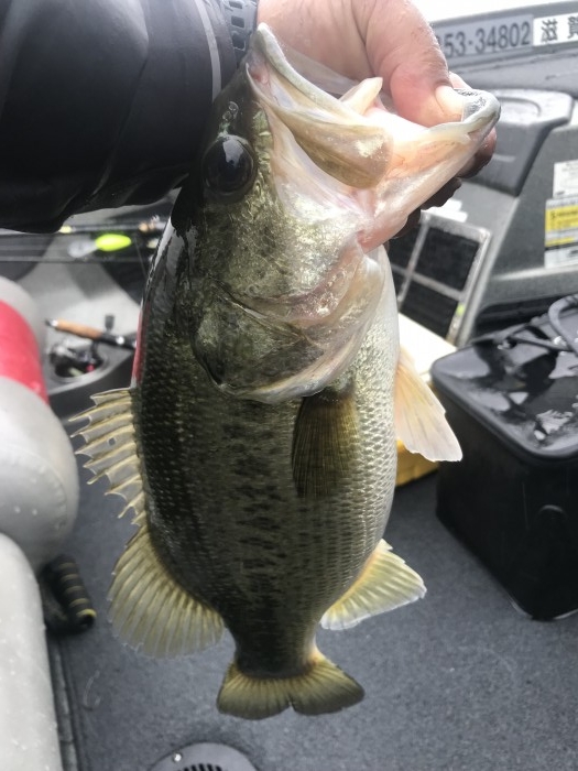 truth  ブログ写真 2019/10/20