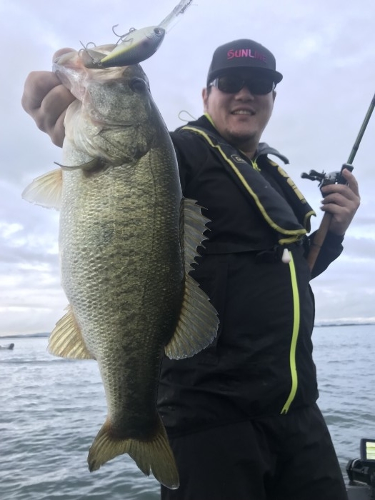 truth  ブログ写真 2019/10/20