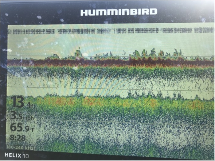 truth  ブログ写真 2019/11/03