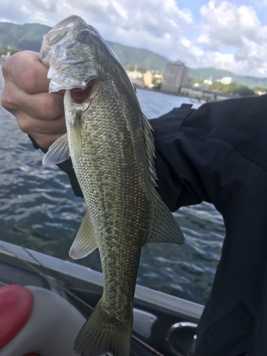 truth  ブログ写真 2019/11/04