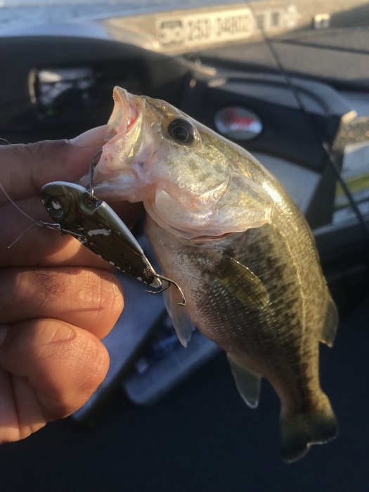 truth  ブログ写真 2019/11/04