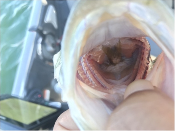 truth  ブログ写真 2019/11/05