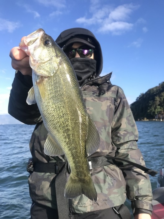 truth  ブログ写真 2019/11/05