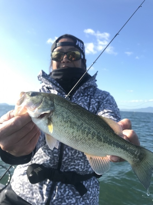 truth  ブログ写真 2019/11/05