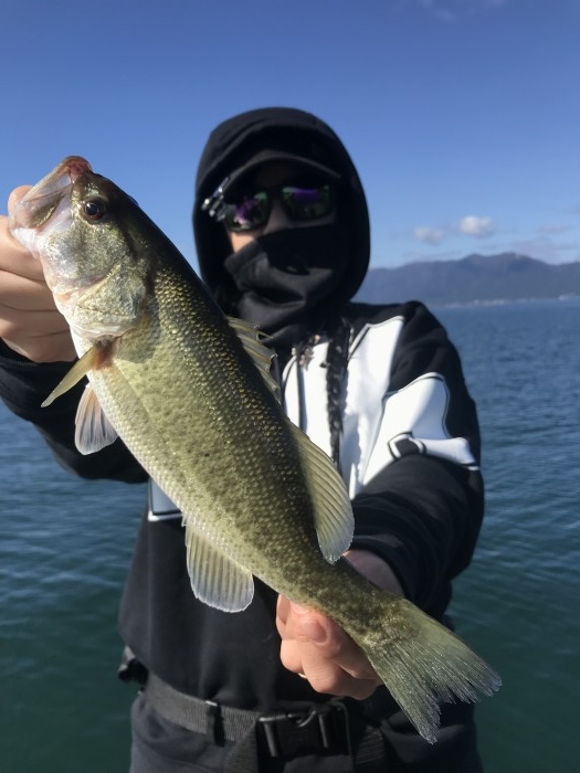 truth  ブログ写真 2019/11/05