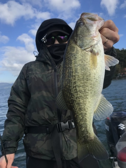 truth  ブログ写真 2019/11/05