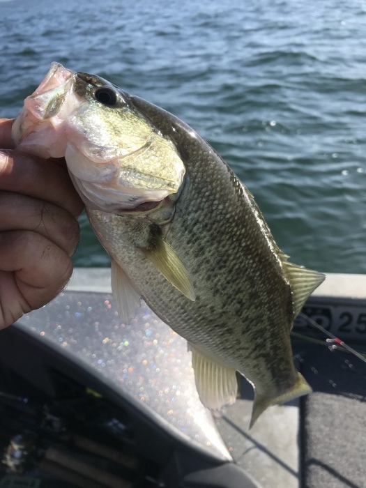 truth  ブログ写真 2019/11/05