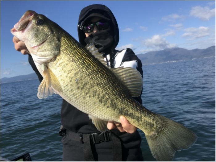 truth  ブログ写真 2019/11/05