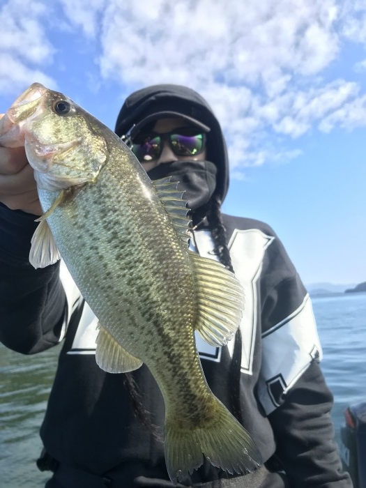 truth  ブログ写真 2019/11/05