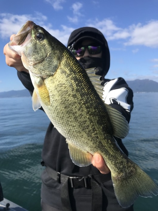 truth  ブログ写真 2019/11/05