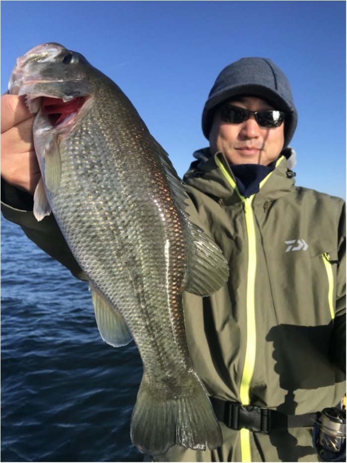 truth  ブログ写真 2019/11/09