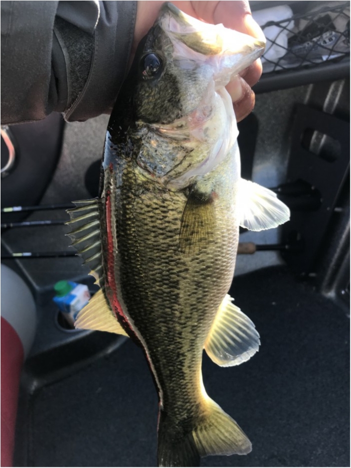 truth  ブログ写真 2019/11/09