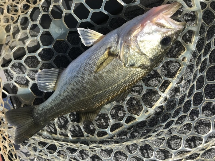 truth  ブログ写真 2019/11/09