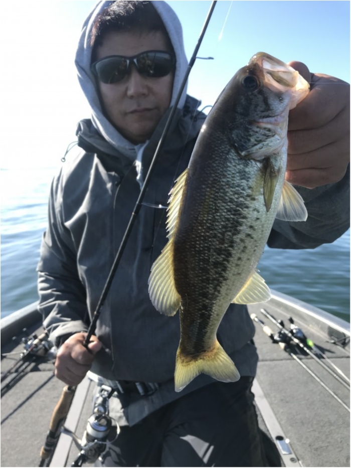 truth  ブログ写真 2019/11/09