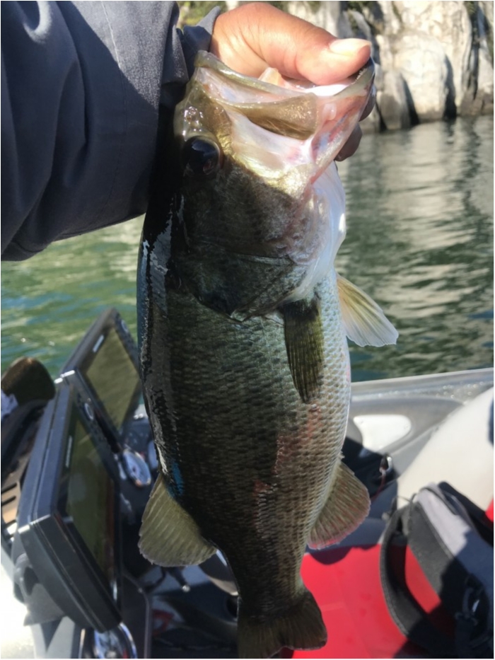 truth  ブログ写真 2019/11/09