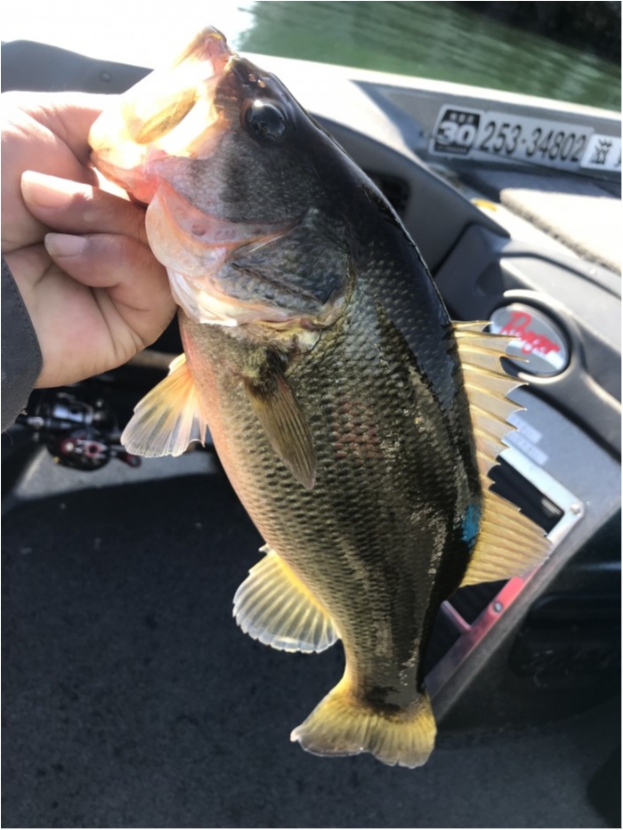 truth  ブログ写真 2019/11/09