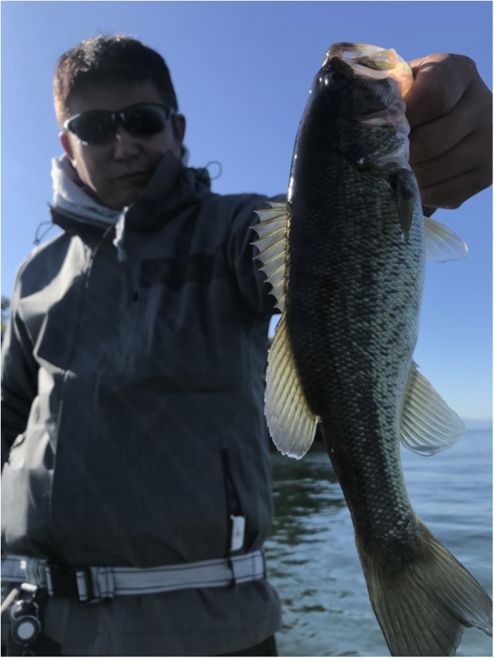 truth  ブログ写真 2019/11/09