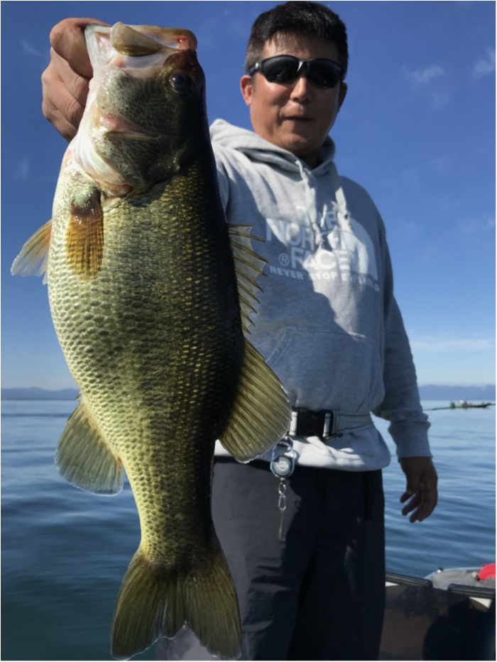 truth  ブログ写真 2019/11/09