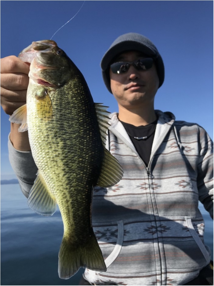 truth  ブログ写真 2019/11/09