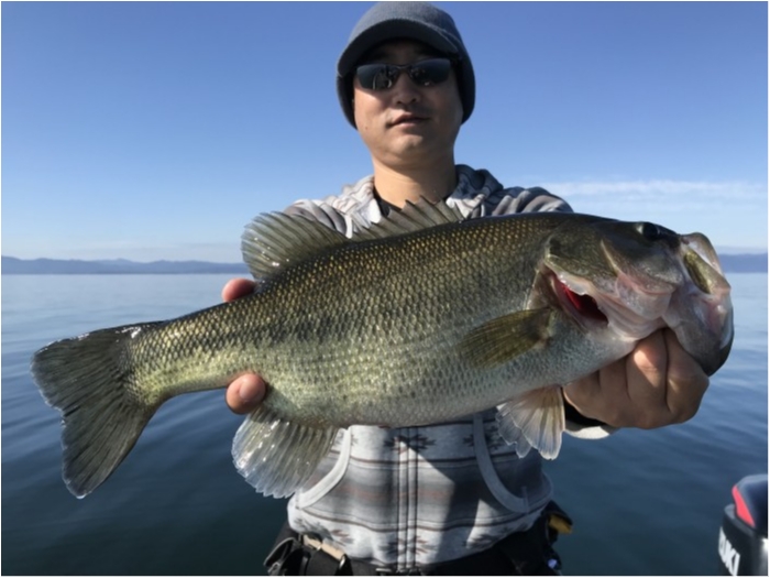 truth  ブログ写真 2019/11/09