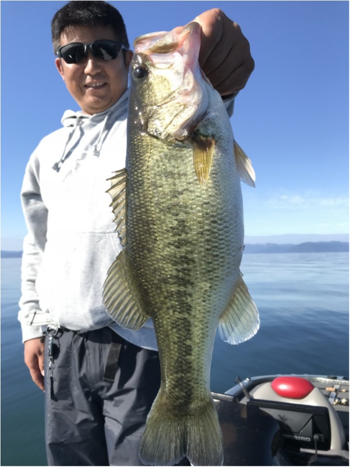 truth  ブログ写真 2019/11/09