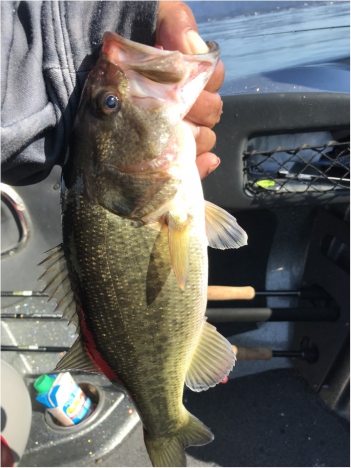 truth  ブログ写真 2019/11/09