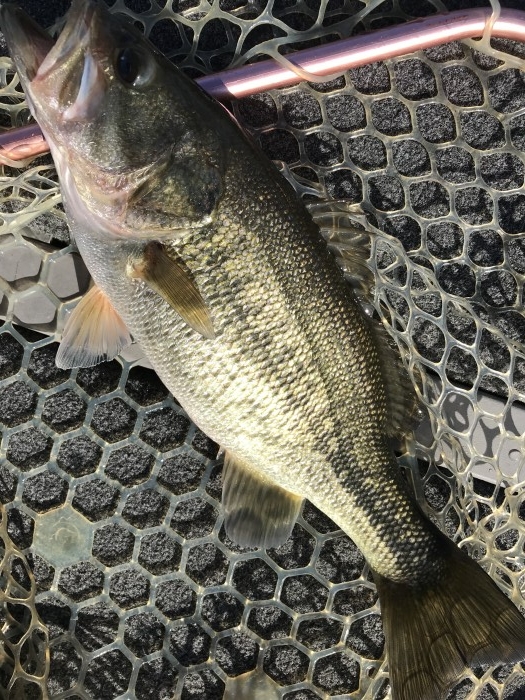 truth  ブログ写真 2019/11/09