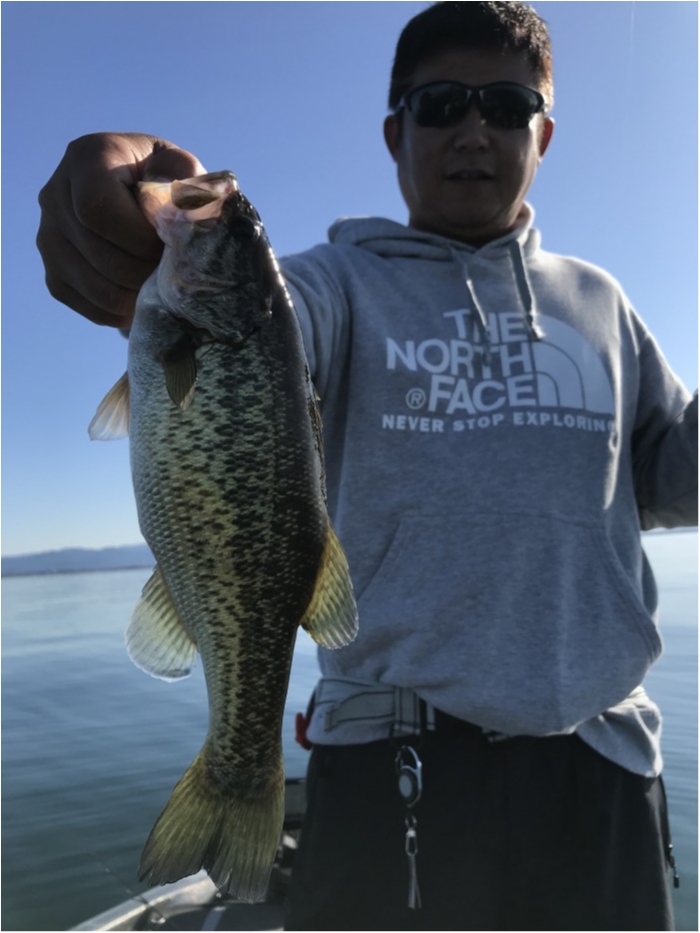 truth  ブログ写真 2019/11/09