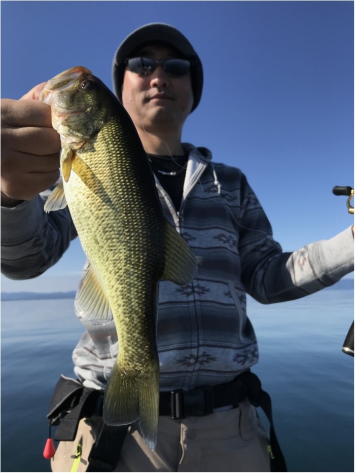 truth  ブログ写真 2019/11/09