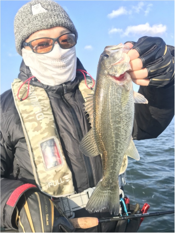 truth  ブログ写真 2019/11/09