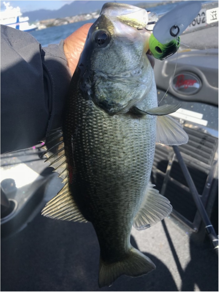 truth  ブログ写真 2019/11/09