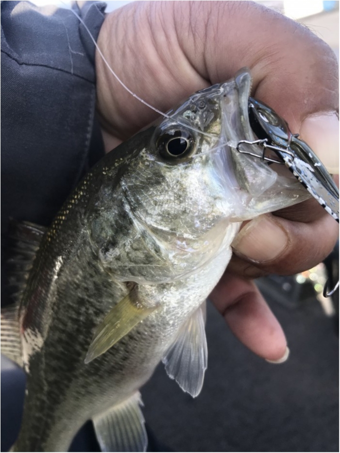 truth  ブログ写真 2019/11/09