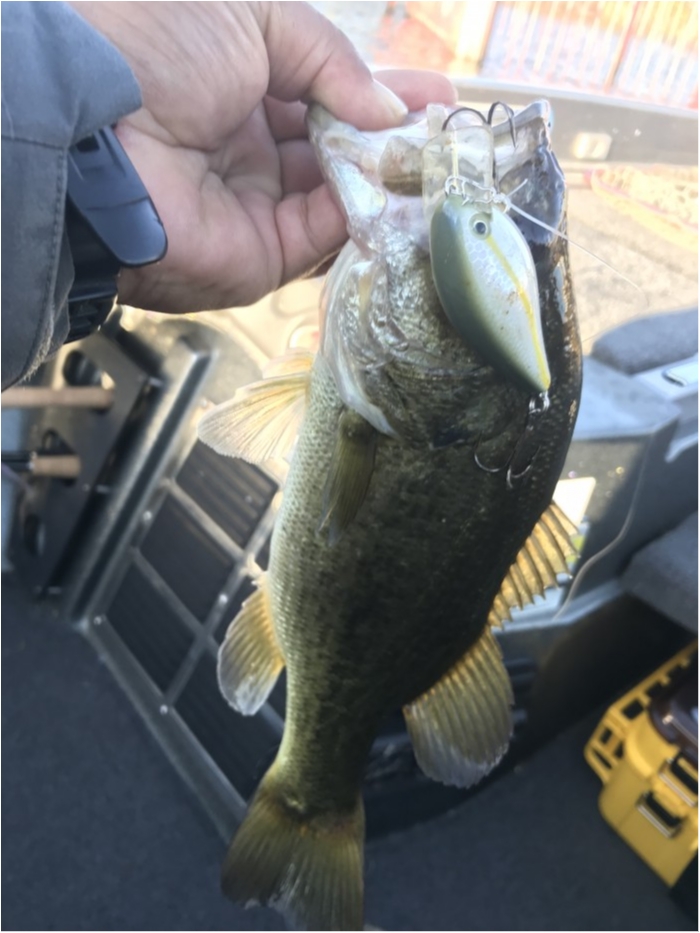 truth  ブログ写真 2019/11/09