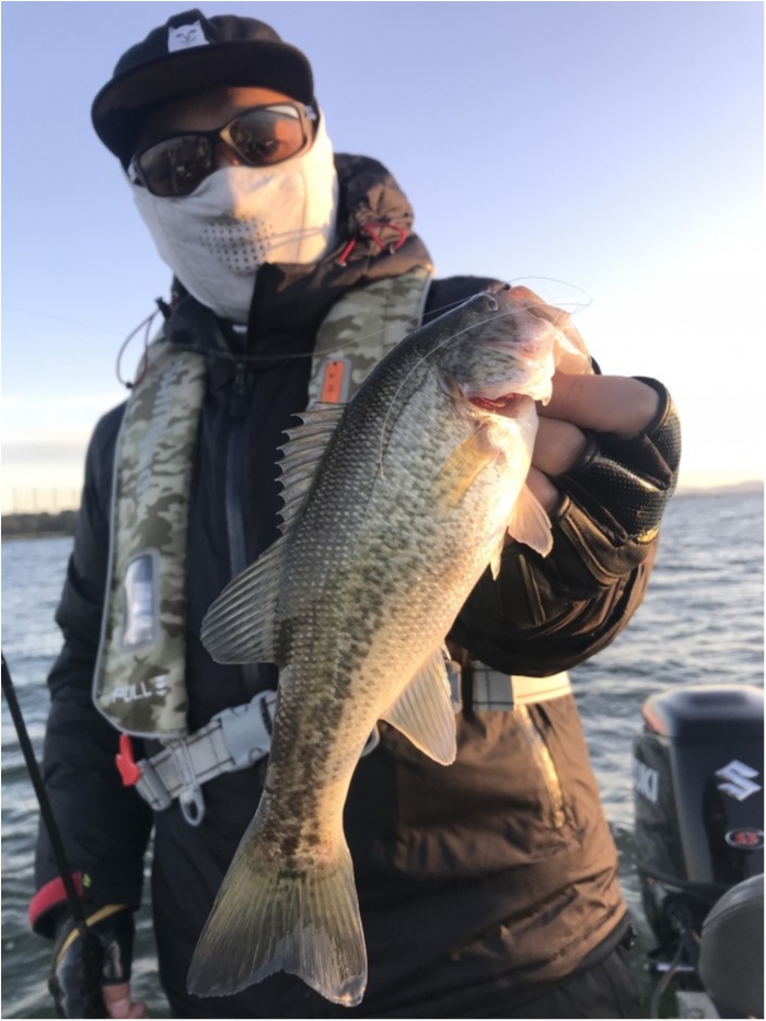 truth  ブログ写真 2019/11/09