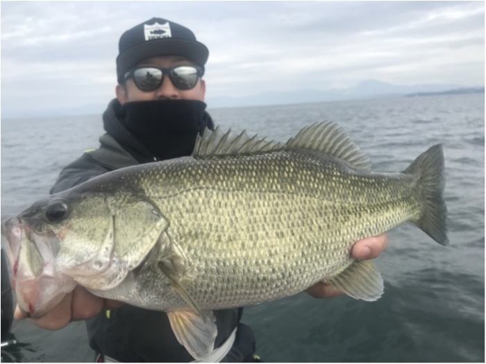 truth  ブログ写真 2019/11/18